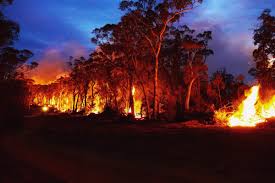 Wildfires occur every summer in australia (typically peaking in february), but the scale of these seasonal fires were unprecedented. Canadians Are On The Front Lines Of Australia S Mega Mega Wildfires Macleans Ca