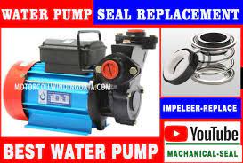 How To Replace A Water Pump Machanical Seal Motor Winding Data Water Pumps Pumps House Water Pump