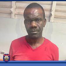 Police Nationale d'Haiti...