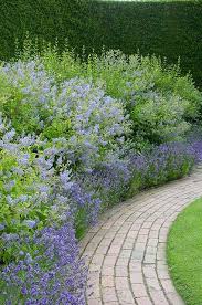 Untitled Garden Paths Cottage Garden Gorgeous Gardens