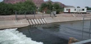 electrical fish barriers gila river basin native fishes