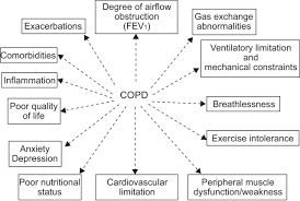 Learn more about symptoms, causes, and treatments of copd at copd.com. Physical Activity Nutritional Status And Systemic Inflammation In Copd European Respiratory Society