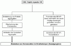 Je nachdem, wie weit der erbliche veitstanz vorangeschritten ist, sind die beschwerden unterschiedlich stark ausgeprägt. Losung