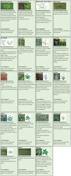 paul munns blog weeds category weed identification chart