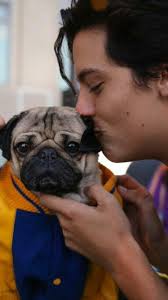 24 Hintergrundbilder-Ideen