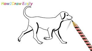 How To Draw A Dog Walking Easy Drawing Step By Step For Beginners - Youtube