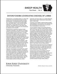 Enterotoxemia Overeating Disease Of Lambs Sheep Health Fact Sheet No 4