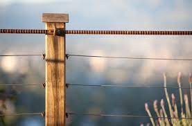 Weight and soil type influence what size your deck footings should be. Rebar Railing Houzz