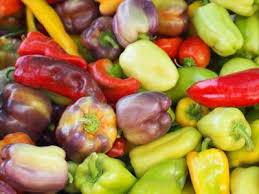 different kinds of sweet peppers learn about various sweet