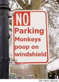 no parking funny quotes quotesgram no parking funny quotes quotesgram