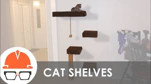 More importantly, cat wall climbing shelves allow your. How To Build A Wall Mounted Cat Tree Youtube
