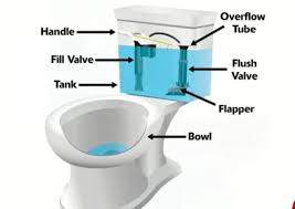 The other type features an extended flange. Toilet Not Clogged But Not Flushing Properly How To Fix Kitchen Bed Bath