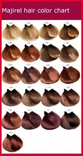Loreal Professional Hair Color Chart Richesse 470825 Majirel