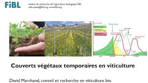 3,914 likes · 7 talking about this · 1 was here. Couverts Vegetaux Temporaires En Viticulture Youtube
