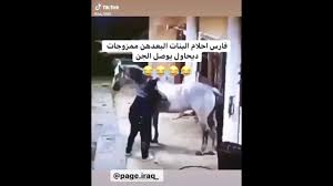 كل البنات حلوين مشكلة القصيرة أن الكيلوجرام زيادة يظهر عليها أوضح من الطويلة. Ø§Ø¨ÙˆØ°ÙŠØ§Øª Ù…Ø¶Ø­ÙƒØ© Ø¹Ø±Ø§Ù‚ÙŠØ© ØªØ­Ø´ÙŠØ´ Ø´Ø¹Ø± Ø¹Ø±Ø§Ù‚ÙŠ ØªØ­Ø´ÙŠØ´ Ù…Ø¶Ø­Ùƒ Ø§Ø¨ÙˆØ°ÙŠØ§Øª ØªØ­Ø´ÙŠØ´ÙŠÙ‡ We Provide Version 8 4 The Latest Version That Has Been Optimized For Different Devices Erza Darmawan