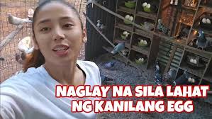 BREEDING TIPS BY MICHAEL RASQUERO PART 2