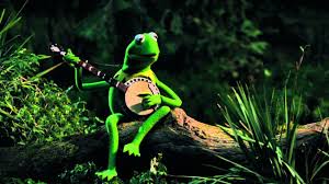 Download free kermit wallpapers for your desktop. Kermit Der Frosch Kermit Wallpaper 1280x720 Wallpapertip