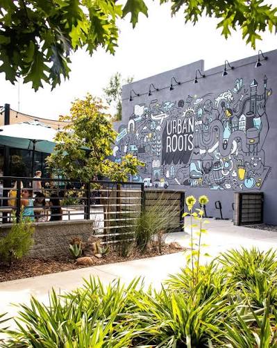 Careers — Urban Roots® | Craft Brewery & BBQ Smokehouse | Sacramento, CA