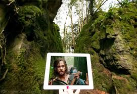 Last puzzles list allows to show the last user's puzzles list on your web page. Puzzlewood A Magical Star Wars Forest Fangirl Quest