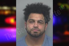 Dexter Levy — Gwinnett County Jail Bookings