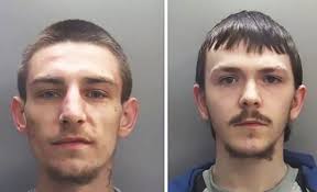 Named and shamed: 217 of the criminals dealt with by our courts in 2020 so  far