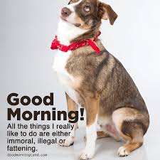 Very funny good morning images. Latest Collection Of Good Morning Funny Images 2021 Good Morning Images Quotes Wishes Messages Greetings Ecards