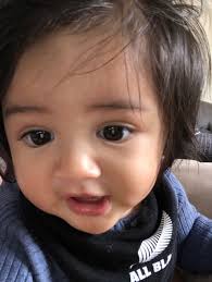 Te Tumu Research Under Lockdown