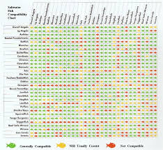 Saltwater Fish Compatibility Chart Fish Saltwater Fish