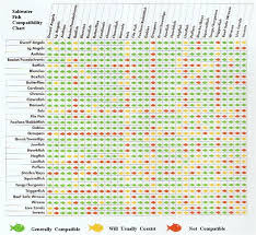 Saltwater Fish Compatibility Chart Saltwater Fish Tanks