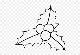 How to draw mistletoe botanical line drawing floral drawing botanical drawings flower drawing tutorials art tutorials flower doodles drawing lessons drawing techniques. How To Draw Holly Cute Christmas Mistletoe Drawing Hd Png Download Vhv