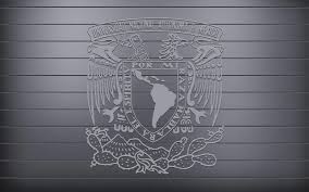 Maybe you would like to learn more about one of these? Pumas Unam 1600x1000 Download Hd Wallpaper Wallpapertip