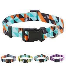 Adjustable Dog Collar for Small Dogs