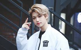 We did not find results for: Felix Stray Kids Members Profile Vote