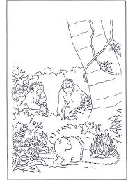 Lars Im Urwald Malvorlage Lars Das Eisbarchen