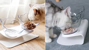 About 17% of these are pet bowls & feeders, 0% are other pet products. Anti Vomiting Orthopedic Cat Feeder Review 2020 Youtube