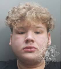 Gang who ransacked 28 homes in month long crime spree jailed for more than  18 years