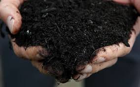 Votre corps comporte beaucoup d'eau. Un Etat Americain Legalise Le Compost Humain Un Enterrement Alternatif Le Parisien