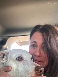 dog owner mourns loss of pet and receives support