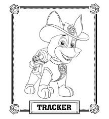 Tracker is a brown and white chihuahua who serves as a jungle rescue pup on paw patrol. Paw Patrol Tracker Coloring Pages At Getdrawings Free Download Coloring Home