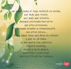 Olvidarte Es Imposible Poemas Para Un Amor Inolvidable