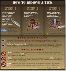 Image result for Tick Removal