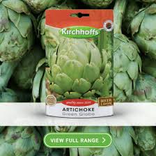 Image result for Rhigozum trichotomum
