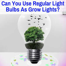 Manufacturers can engineer led grow lights to emit specific light wavelengths, allowing the grower to choose the configurations that work best for their plant species. Can You Use Regular Light Bulbs As Grow Lights