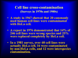 However, depending on the tissue they have been isolated from, they can be grown only for limited generations even in the best. Identification And Elimination Of Contaminations In Cell Culture And Polymerase Chain Reaction Laboratories Yih Horng Shiao Ph D Laboratory Of Comparative Ppt Video Online Download