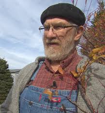 The case of the missing dogberry: Does this mean a mild winter?