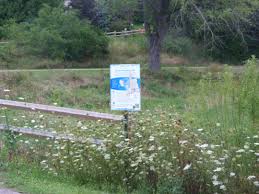 Hodenfield, michael saunders, ric roman waugh. 18 Happier Healthier Streams Ideas Volunteer Work Guided Writing Public Park