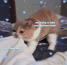 The pictures of funny animals includes funny cat memes 2018,funny dog memes and many others that can relate to a jokes. Funny Animal Memes Clean 2019 Viral Memes