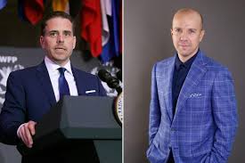 Image result for Bidens buchneri