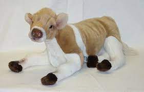 Pin On Cows