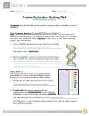 Building dna gizmo warm up answer key. Kami Export Suhitha Reddy Buildingdnasepd2 1 Pdf Suhitha Reddy Name Date Student Exploration Building Dna All Answers Must Be In Blue Vocabulary Course Hero